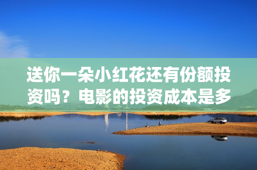 送你一朵小红花还有份额投资吗？电影的投资成本是多少？个人可以参与吗？(送你一朵小红花电影免费观看)