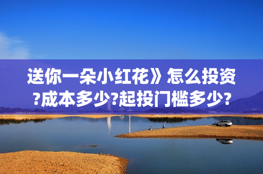 送你一朵小红花》怎么投资?成本多少?起投门槛多少?(送你一朵小红花演员表)