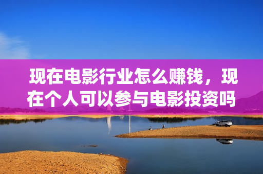  现在电影行业怎么赚钱，现在个人可以参与电影投资吗？ (现在电影行业好做吗)