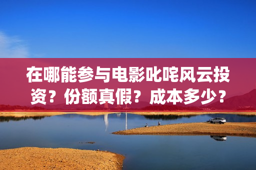 在哪能参与电影叱咤风云投资？份额真假？成本多少？(去哪放电影)