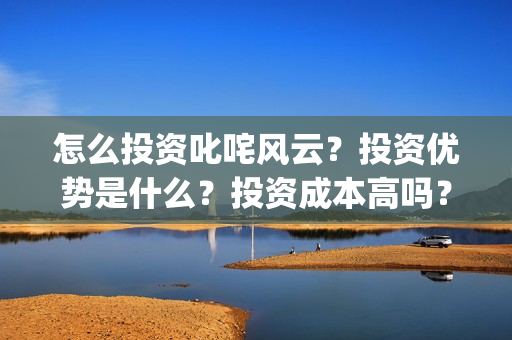 怎么投资叱咤风云？投资优势是什么？投资成本高吗？(叱咤投票)