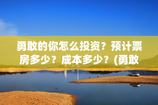勇敢的你怎么投资？预计票房多少？成本多少？(勇敢的你怎不上映)