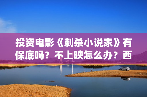 投资电影《刺杀小说家》有保底吗？不上映怎么办？西坝河(刺杀 电影)