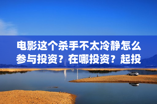 电影这个杀手不太冷静怎么参与投资？在哪投资？起投门槛多少？(电影这个杀手不太冷静演员表)