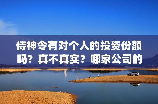 侍神令有对个人的投资份额吗？真不真实？哪家公司的？(侍神令好不好)