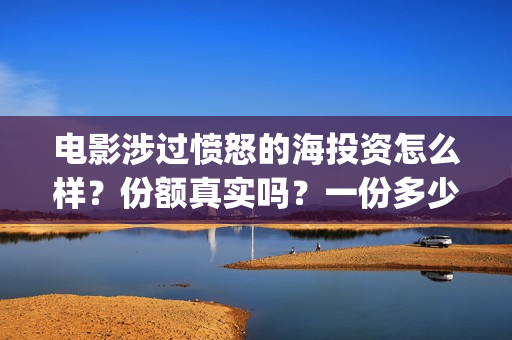 电影涉过愤怒的海投资怎么样？份额真实吗？一份多少钱？(电影涉过愤怒的海讲了什么)