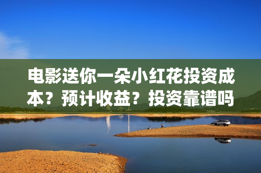 电影送你一朵小红花投资成本？预计收益？投资靠谱吗？(电影送你一朵小红花的英文)