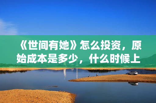 《世间有她》怎么投资，原始成本是多少，什么时候上映？(世间有她剧情)