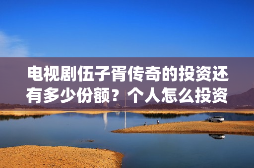 电视剧伍子胥传奇的投资还有多少份额？个人怎么投资？(电视剧伍子胥传奇)