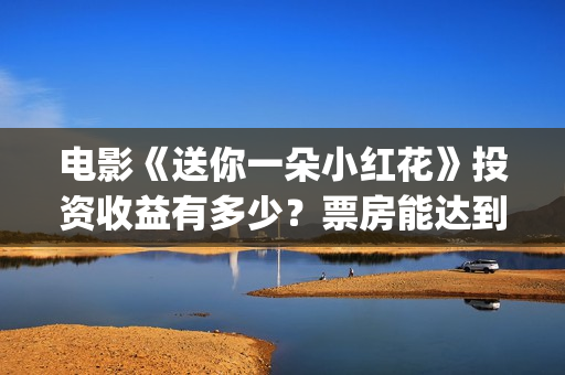 电影《送你一朵小红花》投资收益有多少？票房能达到多少？(电影《送你一朵小红花》)