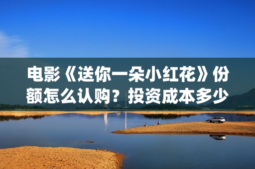 电影《送你一朵小红花》份额怎么认购？投资成本多少？(电影送你一朵小红花完整版免费观看)