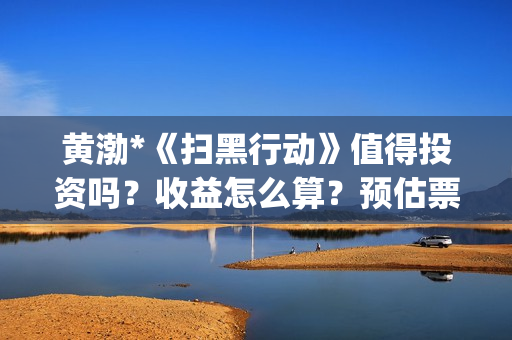 黄渤*《扫黑行动》值得投资吗？收益怎么算？预估票房多少？(电视剧扫黑暴)
