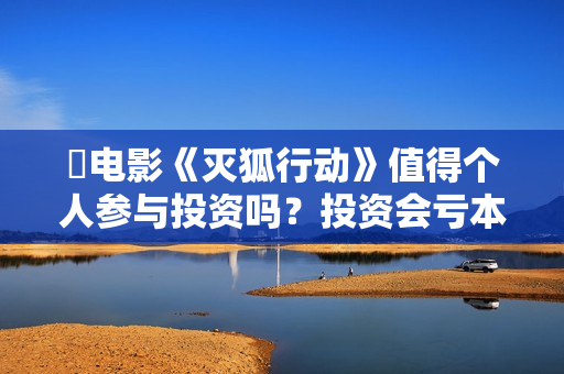 ☞电影《灭狐行动》值得个人参与投资吗？投资会亏本吗？怎么降低投资风险？