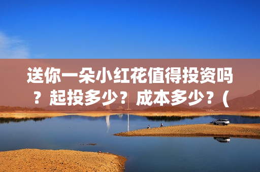 送你一朵小红花值得投资吗？起投多少？成本多少？(送你一朵小红花原唱)