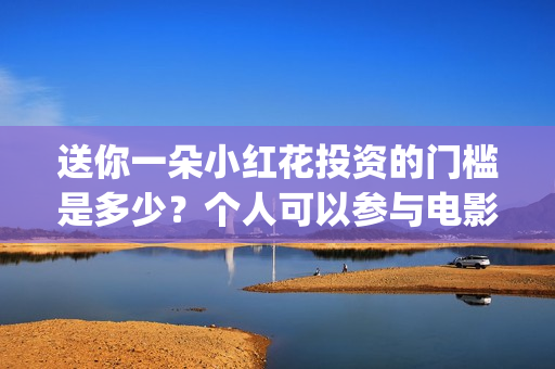 送你一朵小红花投资的门槛是多少？个人可以参与电影投资吗？(送你一朵小红花电影)