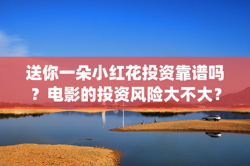送你一朵小红花投资靠谱吗？电影的投资风险大不大？(送你一朵小红花电影)