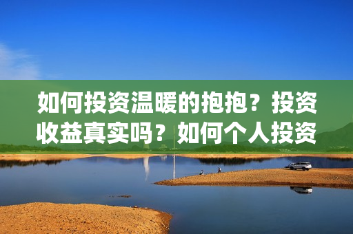 如何投资温暖的抱抱？投资收益真实吗？如何个人投资？投资渠道？(叫你知道怎么投资)