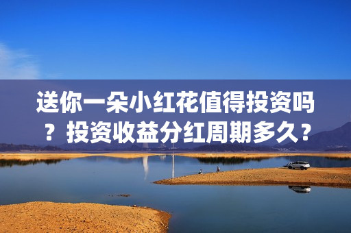 送你一朵小红花值得投资吗？投资收益分红周期多久？(送你一朵小红花原唱)
