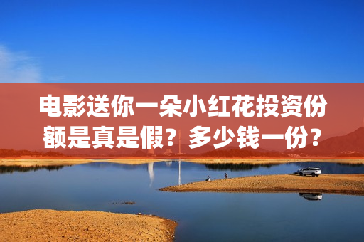 电影送你一朵小红花投资份额是真是假？多少钱一份？(电影送你一朵小红花讲述的主题是抗癌吗)