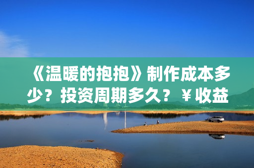 《温暖的抱抱》制作成本多少？投资周期多久？￥收益空间大吗？(温暖的抱抱在线观看完整版高清免费)