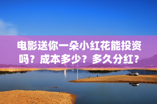 电影送你一朵小红花能投资吗？成本多少？多久分红？(电影送你一朵小红花主题曲)