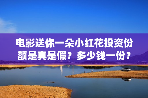 电影送你一朵小红花投资份额是真是假？多少钱一份？(电影送你一朵小花)