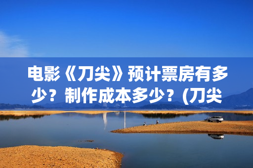 电影《刀尖》预计票房有多少？制作成本多少？(刀尖这部电影哪年拍的)