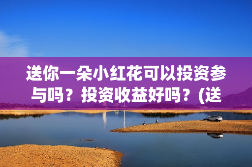送你一朵小红花可以投资参与吗？投资收益好吗？(送你一朵小红花 歌曲)