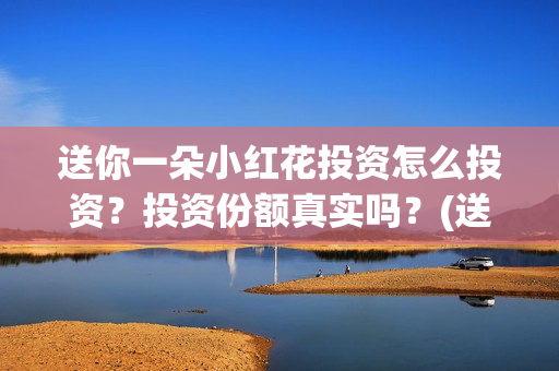 送你一朵小红花投资怎么投资？投资份额真实吗？(送你一朵小红花简谱)
