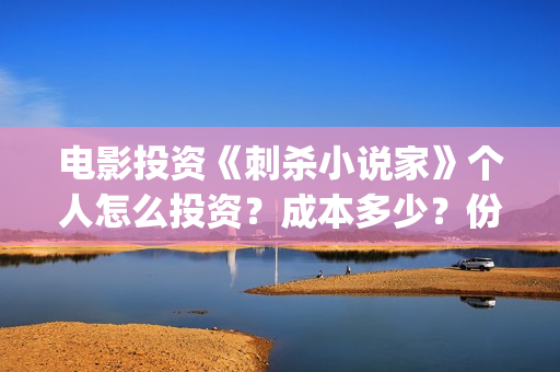电影投资《刺杀小说家》个人怎么投资？成本多少？份额怎么算(刺杀 电影)