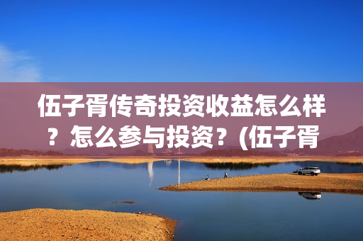伍子胥传奇投资收益怎么样？怎么参与投资？(伍子胥传奇电视剧投资项目)