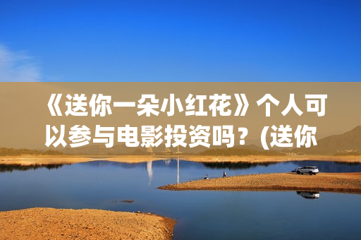 《送你一朵小红花》个人可以参与电影投资吗？(送你一朵小红花演员表)
