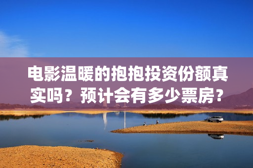 电影温暖的抱抱投资份额真实吗？预计会有多少票房？(电影温暖的抱抱剧情介绍)