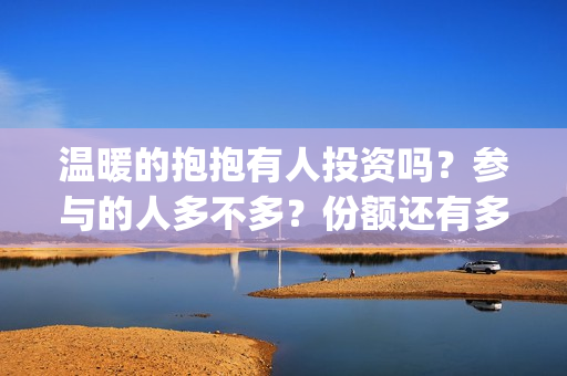 温暖的抱抱有人投资吗？参与的人多不多？份额还有多少？比股票赚钱吗 (温暖的抱抱有谁)