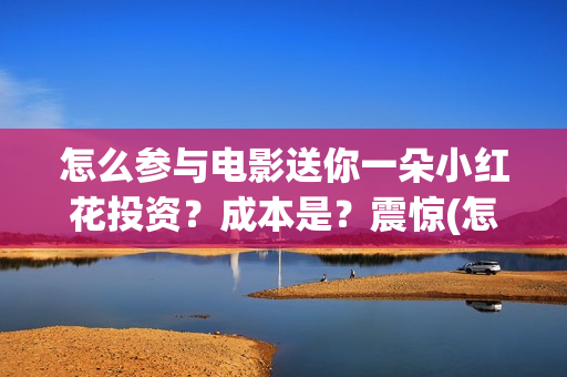 怎么参与电影送你一朵小红花投资？成本是？震惊(怎么赠送电影)