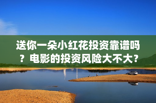送你一朵小红花投资靠谱吗？电影的投资风险大不大？ (送你一朵小红花歌词表达什么意思)