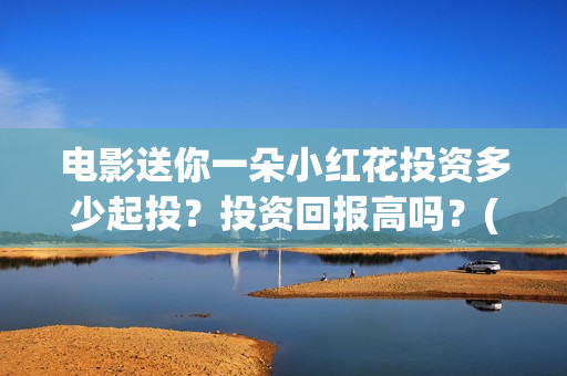 电影送你一朵小红花投资多少起投？投资回报高吗？(电影送你一朵小红花讲述的主题是抗癌吗)