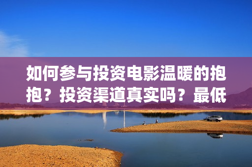 如何参与投资电影温暖的抱抱？投资渠道真实吗？最低成本？(个人如何参与电影项目投资)