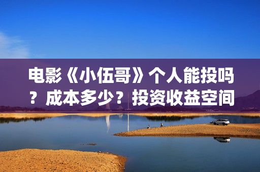 电影《小伍哥》个人能投吗？成本多少？投资收益空间大吗？(小伍哥在线观看)
