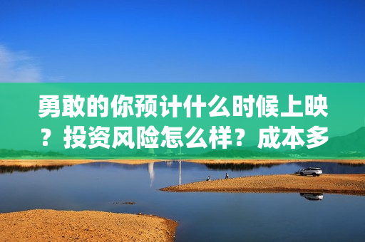 勇敢的你预计什么时候上映？投资风险怎么样？成本多少(勇敢的你何时上映)