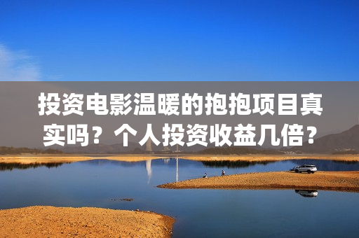 投资电影温暖的抱抱项目真实吗？个人投资收益几倍？票房分红怎么计算？ (电影《温暖》)
