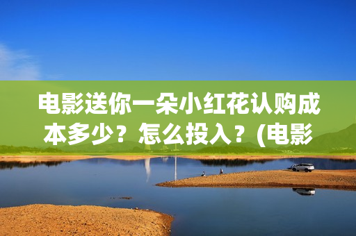 电影送你一朵小红花认购成本多少？怎么投入？(电影送你一朵小红花的英文)