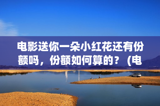 电影送你一朵小红花还有份额吗，份额如何算的？ (电影送你一朵小红花简介)