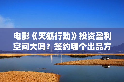 电影《灭狐行动》投资盈利空间大吗？签约哪个出品方？怎么辨别通道？(灭狐行动啥时上映)