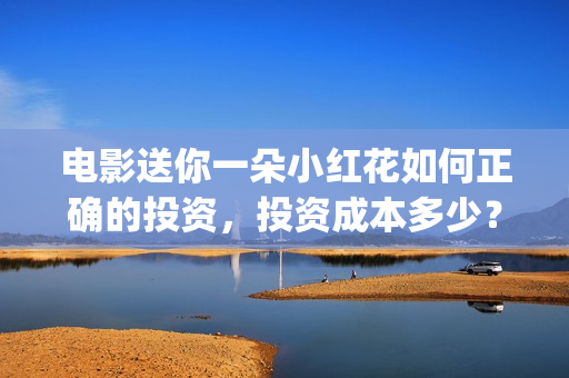 电影送你一朵小红花如何正确的投资，投资成本多少？ (电影送你一朵小红花主题曲)