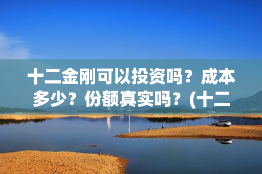 十二金刚可以投资吗？成本多少？份额真实吗？(十二金刚1967)