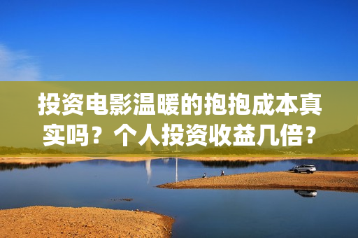 投资电影温暖的抱抱成本真实吗？个人投资收益几倍？(温暖的电影海报)