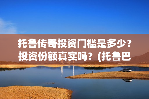托鲁传奇投资门槛是多少？投资份额真实吗？(托鲁巴姆图片)