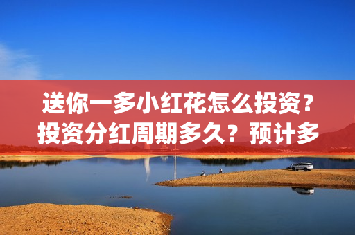 送你一多小红花怎么投资？投资分红周期多久？预计多少票房？(送你一多小红花照片)