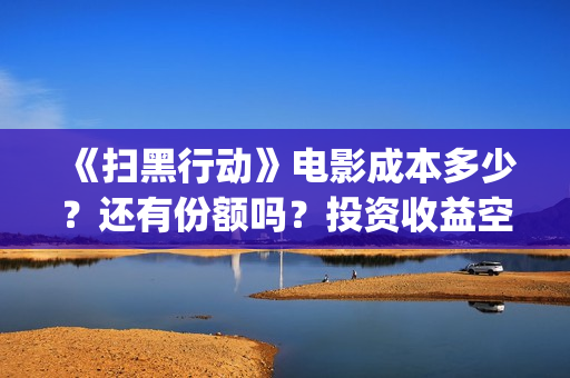 《扫黑行动》电影成本多少？还有份额吗？投资收益空间大吗？(《扫黑行动》电视剧)